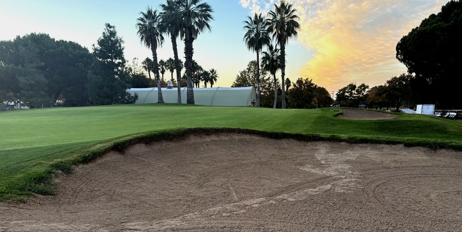 A greenside bunker in the evening, with palm trees behind